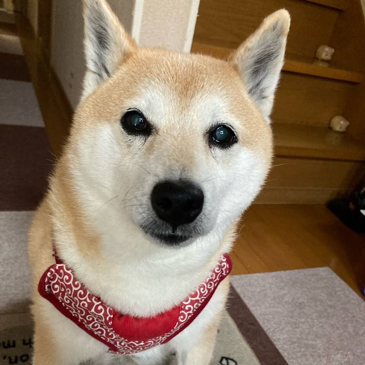 B45198a9 deec 46e3 924e 36e059e3cb60 1625743875854