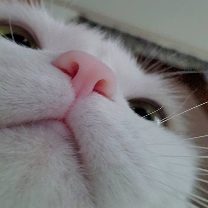 B451a9c7 063a 4325 a8fd 85dcc00b044b 1599294781786