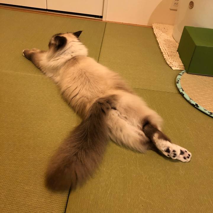 B451bd56 49ba 4204 b823 1f5eb1b6eb51 1549200151140