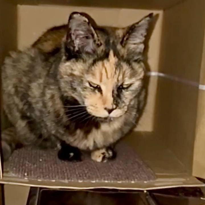 B451bfd4 a2f1 4b2c 8673 b5adbbdc205c 1748977826366