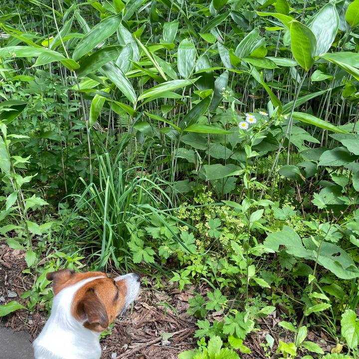 B451e7c4 88ad 4dab b892 644a574abf97 1624877647836