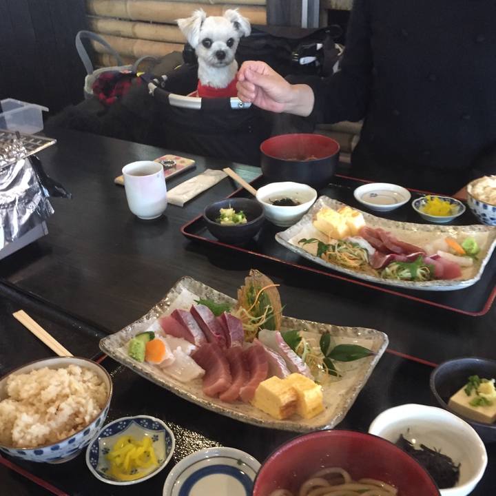 B451f61c 5f1b 440d 8cfe fba8497cc4cc 1515151497040