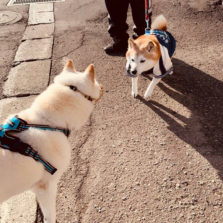 B4524791 312b 43d1 a608 17638e73a139 1681770928180