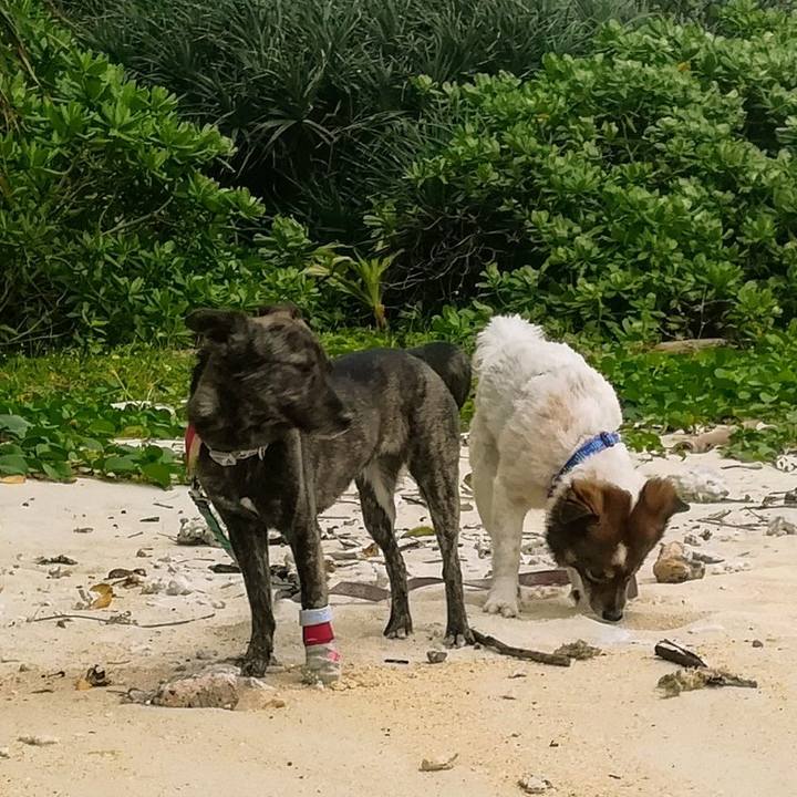 B4524de2 502e 42ca b3ac 37c020fc4bdc 1553257970262