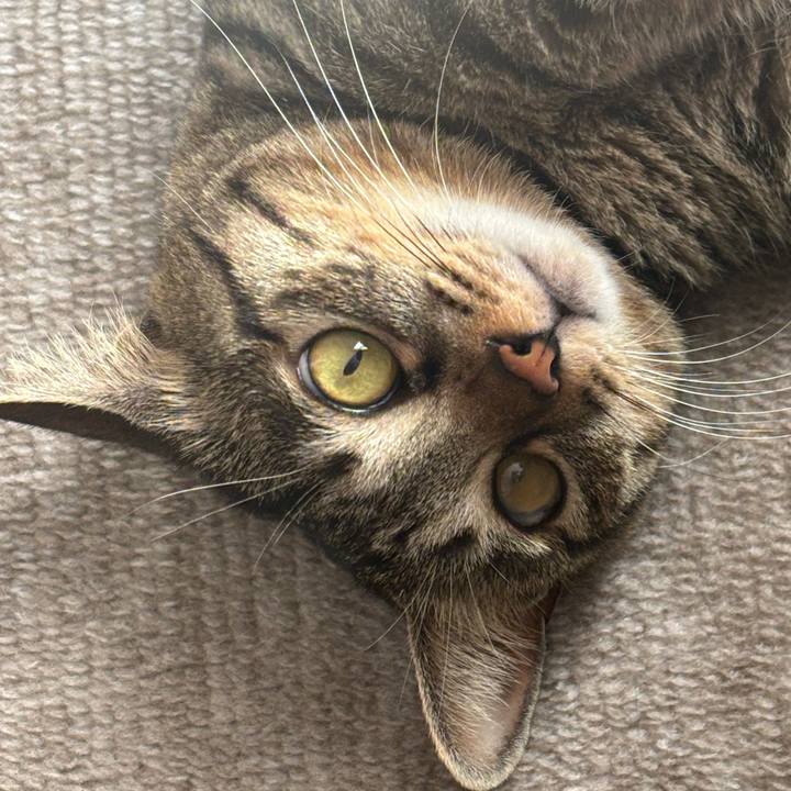 B45280df 232e 42fa 8fe2 405e0f6a29ea 1764470580696