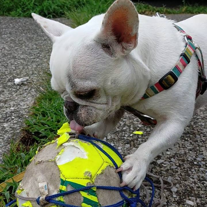 B4529659 2850 4f32 a24f 30257bfcb390 1661811620236