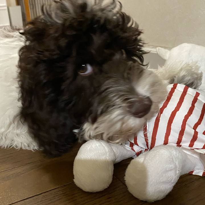 B452a472 7cca 4f9d 8530 be5fe9929a0e 1613741532932