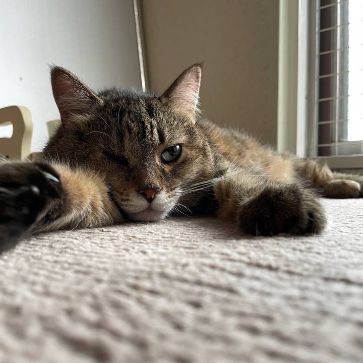 B452ac11 0b93 41f4 89cd 1dcffd1dccc3 1717627329999