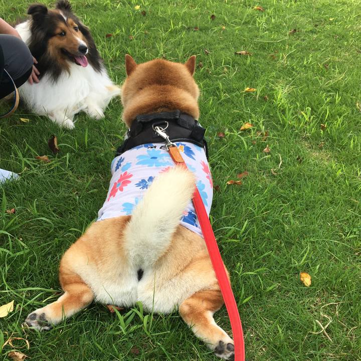 B45319e7 02ab 454a 80f0 a18dd48f20cc 1596585070672