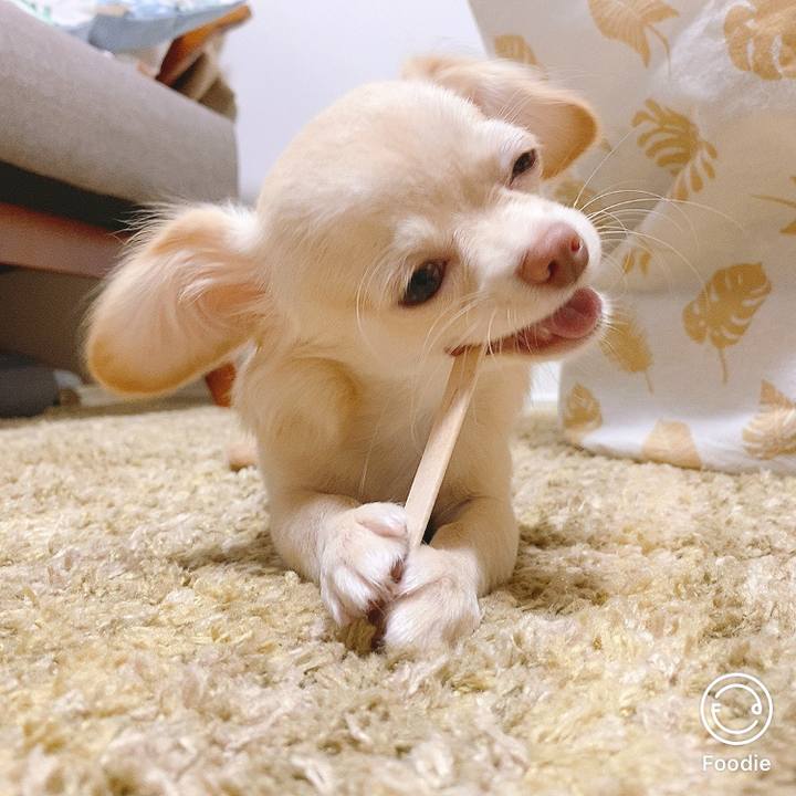 B4531d32 c30d 46c3 a009 9a72b6ed2624 1598255389169