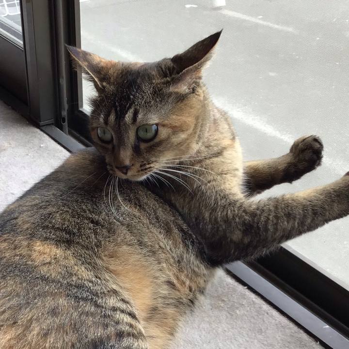 B4531fa7 dcab 405b 9010 a8ef69b0fa60 1629453742201