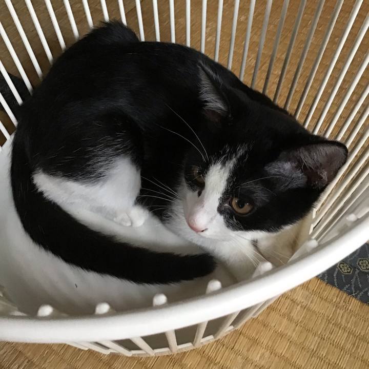 B4532e54 784a 44b5 9cd2 4956b98ebc41 1628325589942