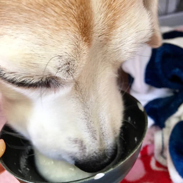 B4535356 ab8b 441b a35c a3a14bd69f2d 1552883311530