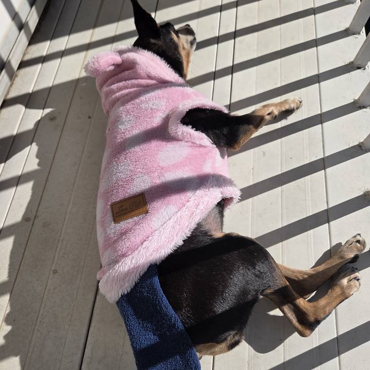 B45362f6 dd71 490a 9457 8f0546ebab79 1763694770590