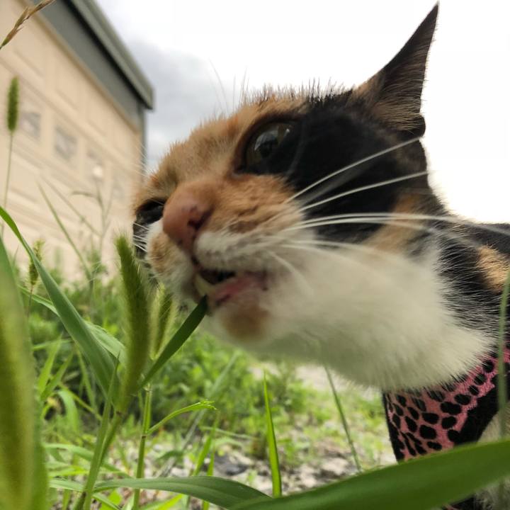 B453de93 1f11 4b01 8cf8 021a16673d0f 1531227121055