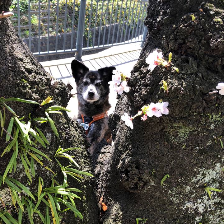 B453f2f0 d6bf 4645 97a9 9730fe00d8b3 1680181656416