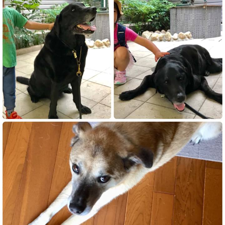 B453f546 af1f 4b54 86ad a860801b81d8 1531215836263