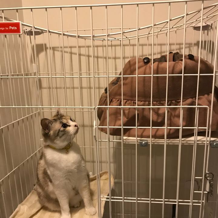 B45425dd d2ed 47ad 93fa 631b7190d5f2 1523591735481