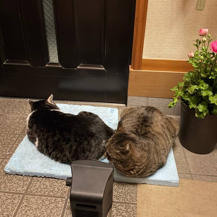 B45431da 5289 4b66 9c3b b3c37ac70779 1614164193083