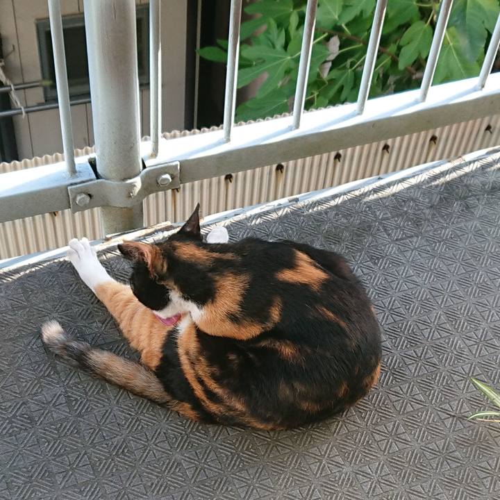 B45442ff 3e51 474c ac97 9308cb594b96 1534976872842