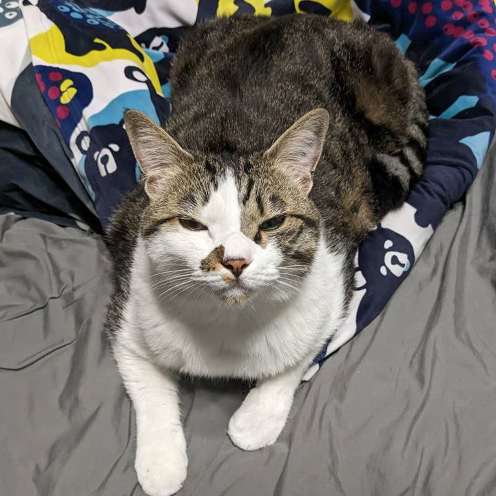 B4544a80 42dc 4d01 8a5e 59a0928530c4 1682847751935