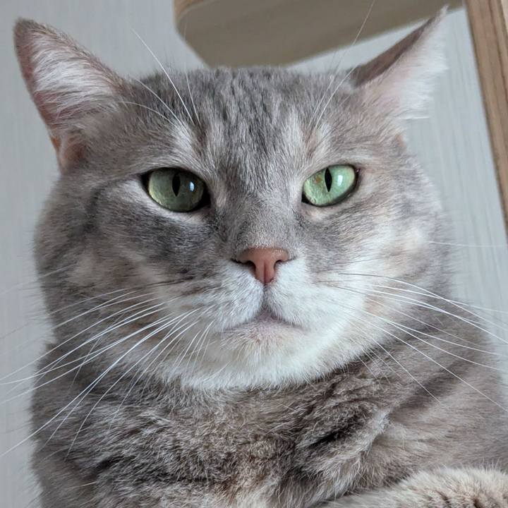 B45458c2 61c3 498a bb3a 81de08541ae3 1727775207247