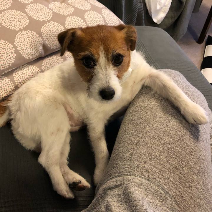 B4545da2 19c6 46fe ba91 8eeebd78cfbd 1589800627670