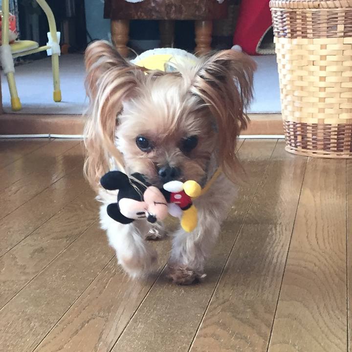 B45476c3 955c 4b86 88bc a6f7b1705486 1550365618228