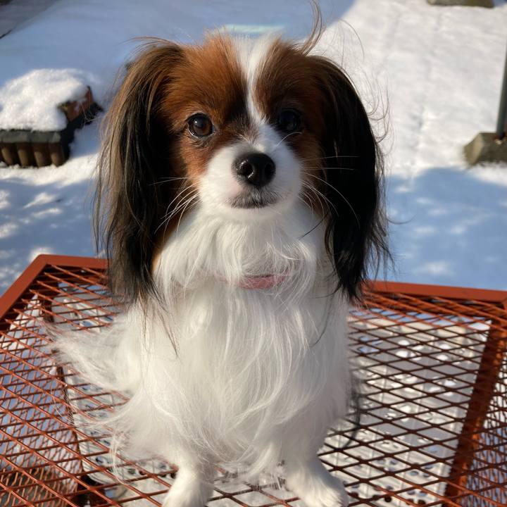 B4547cb1 d2a7 459f 96b8 6cac2a5b7fde 1640849821390