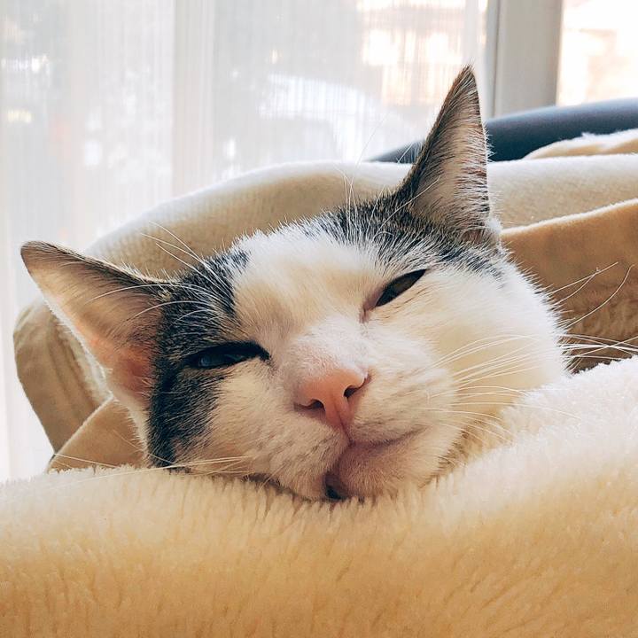 B454cb5c 66c5 456d ade1 c83e974c7e5d 1582847494099