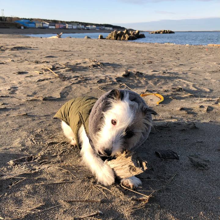 B454d21d 5a5b 4dd4 a5a3 ce2bb8f94412 1607558613148