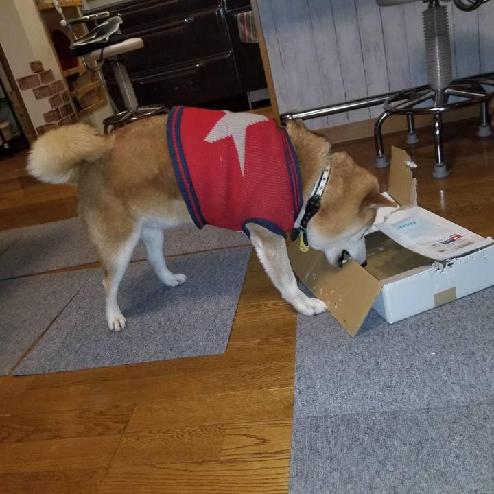 B454e27a 641c 4c80 8b08 46b6091d04c5 1606727492349