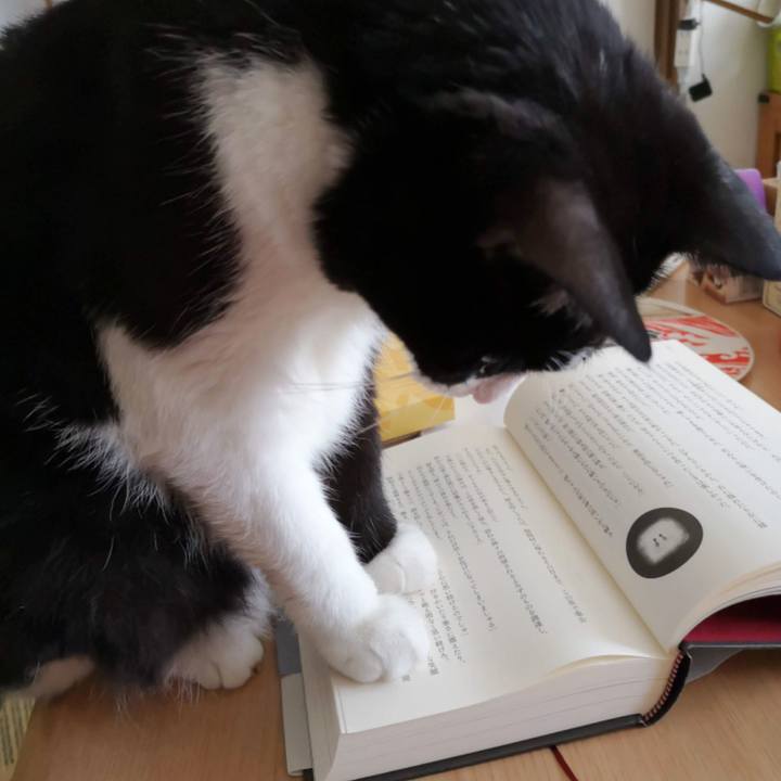 B455076b 771f 4fff 903b a3a28cf16a02 1660198267340