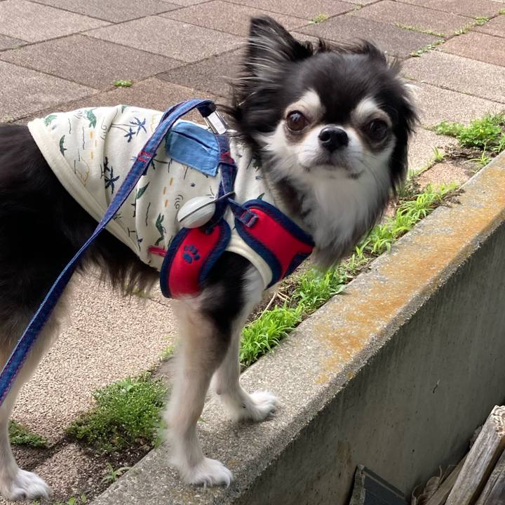 B4550856 1db7 47d9 abda 1a30734e3680 1714992838257