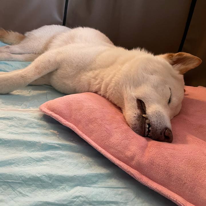 B4555e9d 8bbf 4d2f 94f1 a8019535bb81 1655310556449