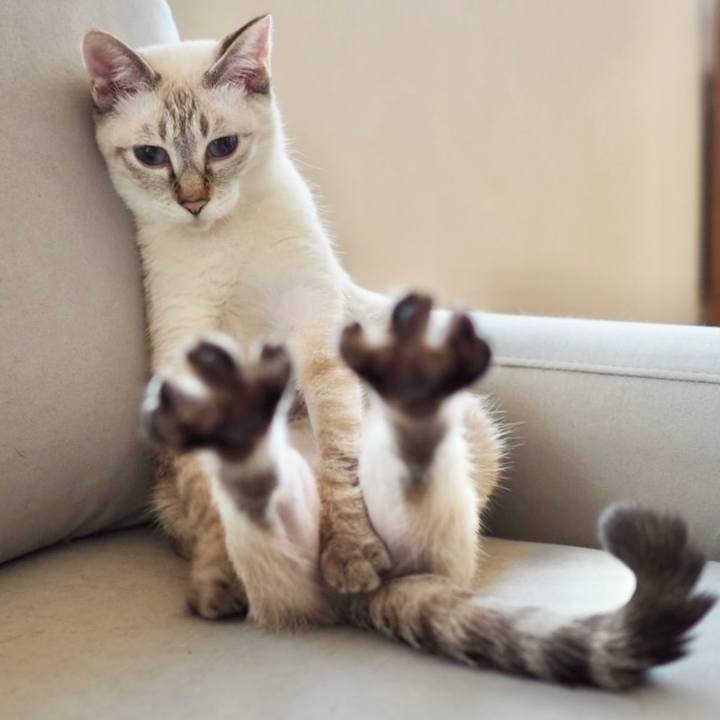 B455966a dd13 4966 844a 11a090e5f760 1762866773729