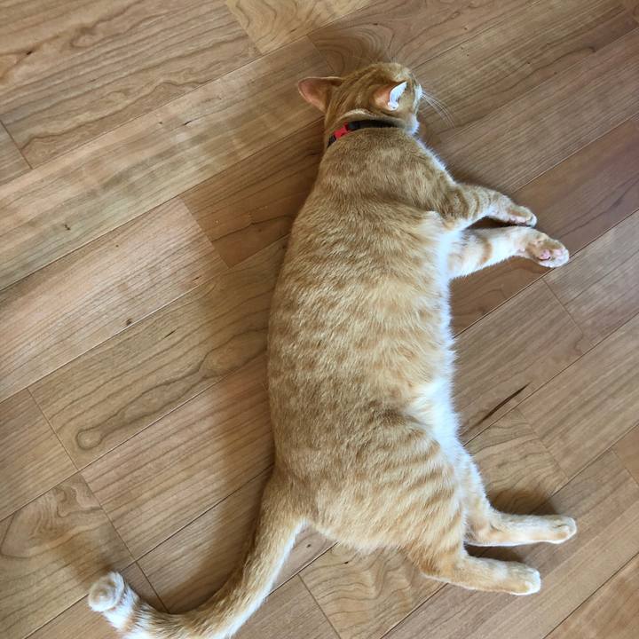 B455b0c2 aeff 475f 90f6 c992af00b2a3 1626681360567