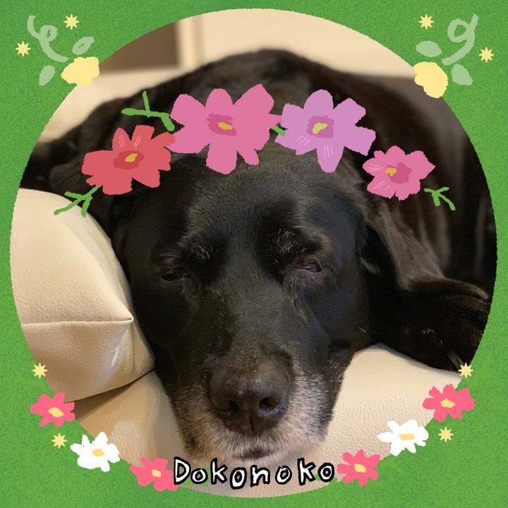 B455b480 ceb1 4d27 859a d89f4be9784b 1726842037561