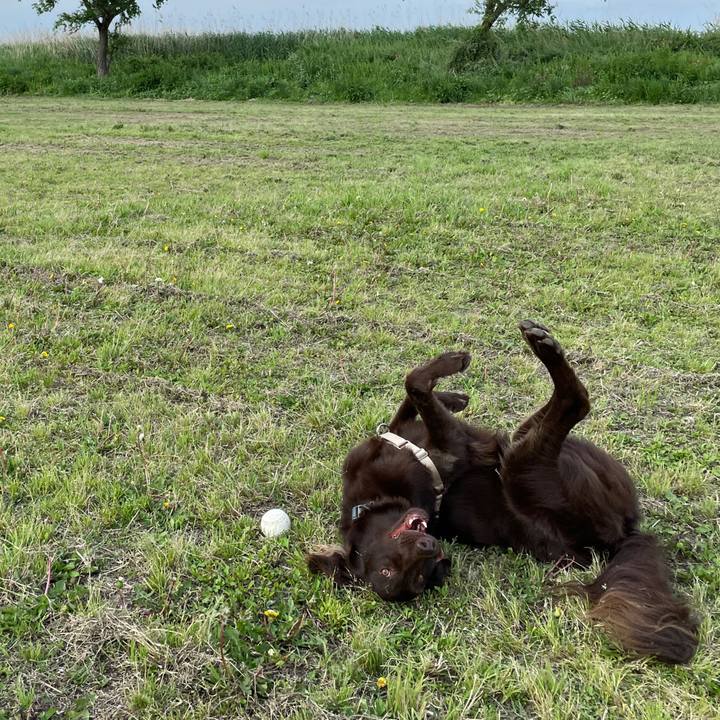 B455ea72 0c72 4af4 b8d7 d84c4d544997 1621259605793