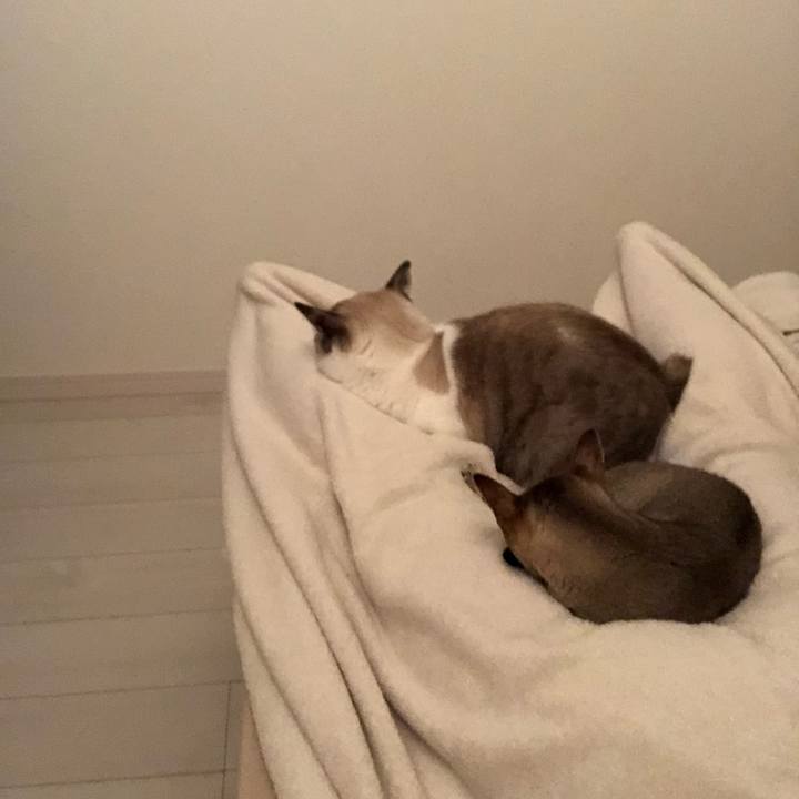 B4560f2c cd54 4a0a afe9 aab0c0261bdd 1538219639383