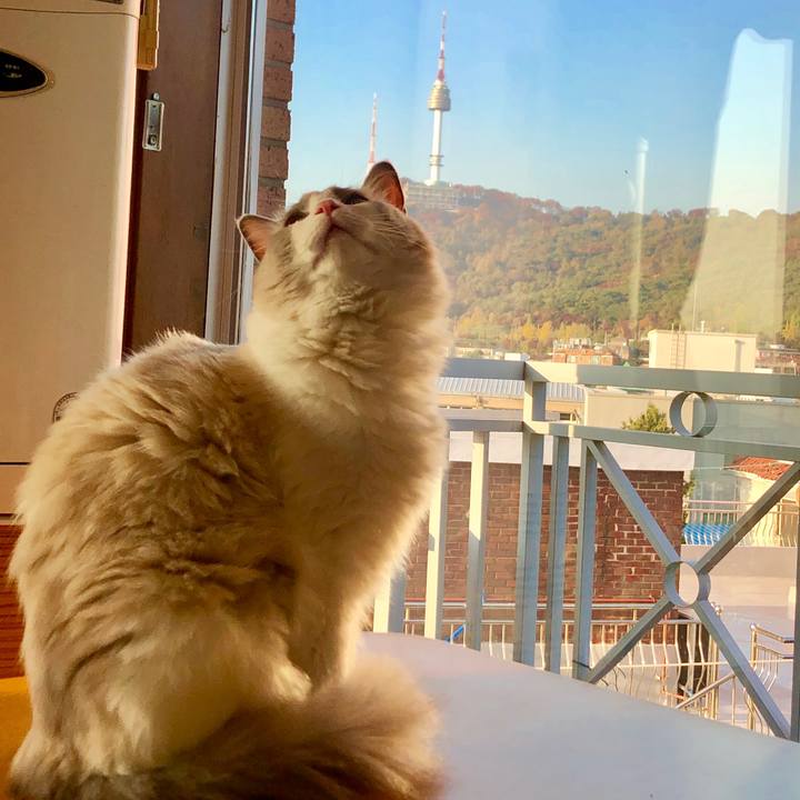 B45646ab 5877 4fbd bcb5 a820230de4ef 1572939392885