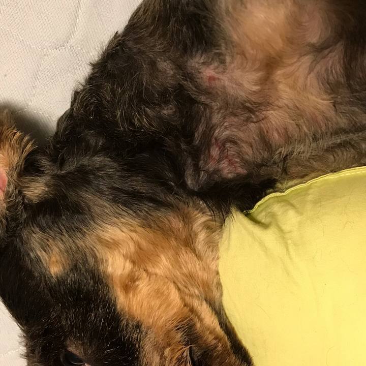 B4566c69 9580 40f7 9e25 d0b0612a93e3 1567610371240