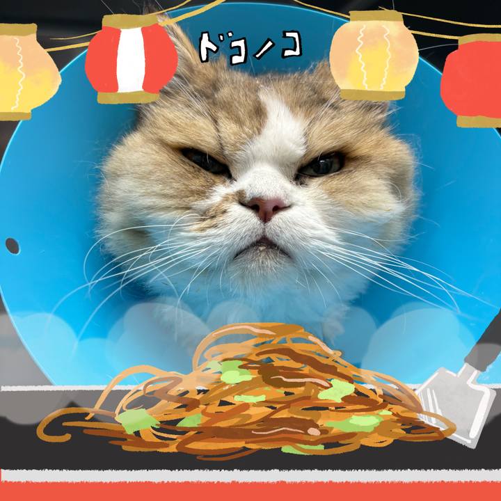 B4567c5c d127 4946 9db7 19e4f86edc4b 1755053454564