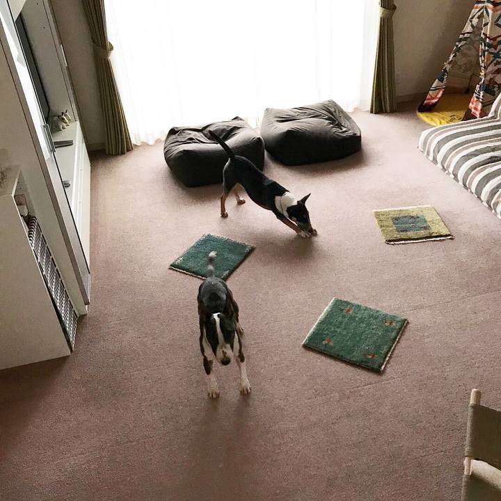 B45693d2 4a1d 4024 b7c9 ff27450bbd7b 1521368110149