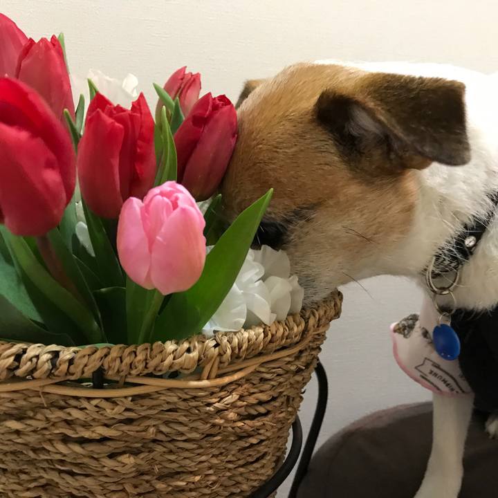 B4569f50 c057 4b9a 9436 66ba32dea9d8 1582279804065