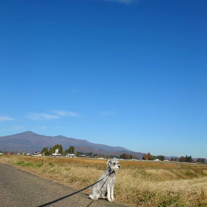 B456cfed 8b3e 4681 b950 34f39e5d8ad8 1763257506000