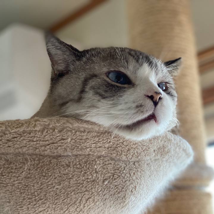 B456e7f8 8793 445c af48 54100850d832 1602392612459