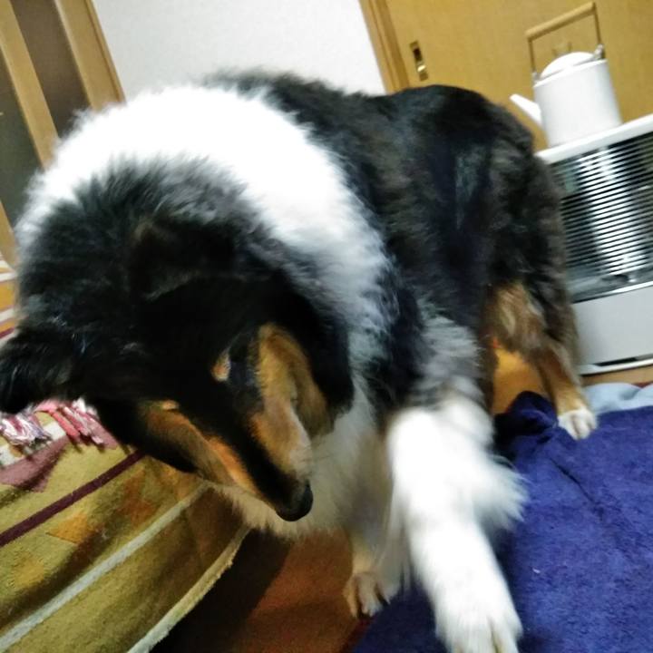 B456ec36 3035 4209 bc52 fe60452cbc42 1560341453539