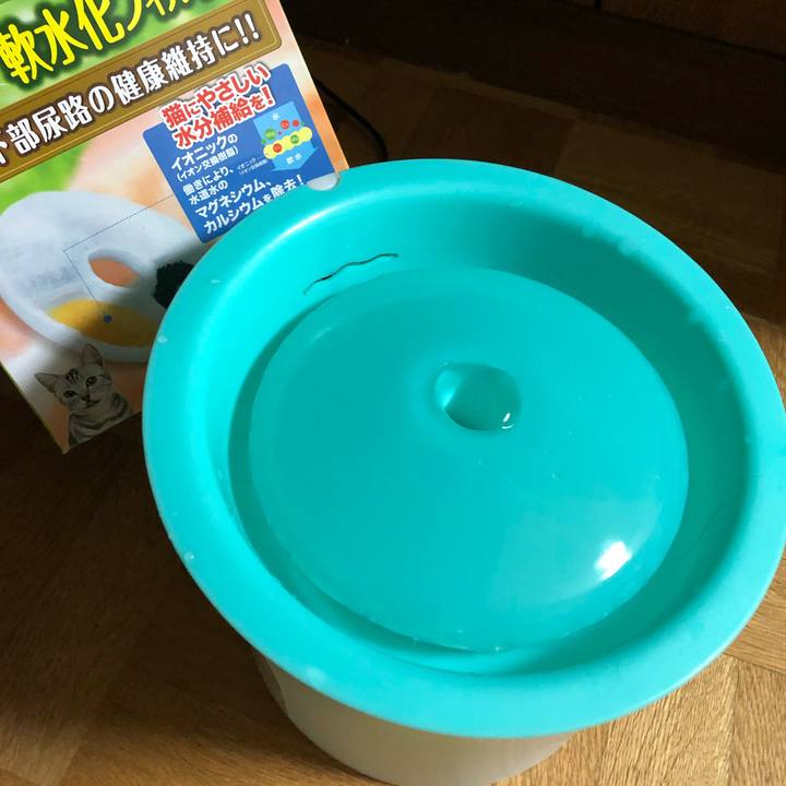 B456f782 cffe 4b25 bc74 adaea5a3d9bf 1554121316405