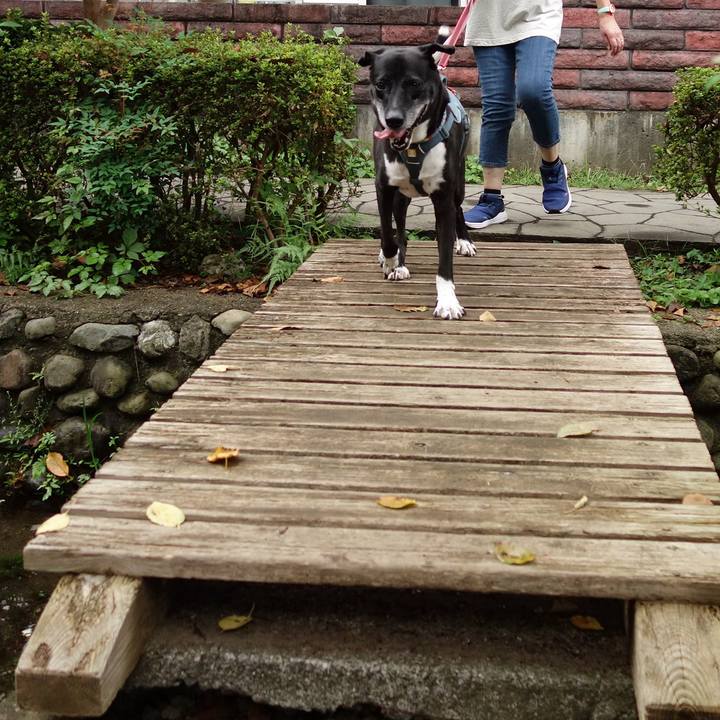 B4570015 b26c 403b 9d33 7ed530edd941 1727402161071